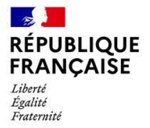 Newsletter Logo: République Française