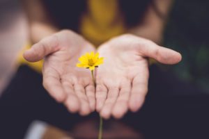 Une personne tenant une fleur dans la paume de sa main.