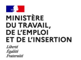 Ministere du travail logo